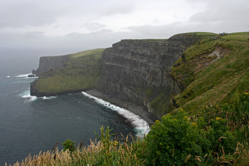 High grassy cliffs on the sea coast and heavy fog in the summer