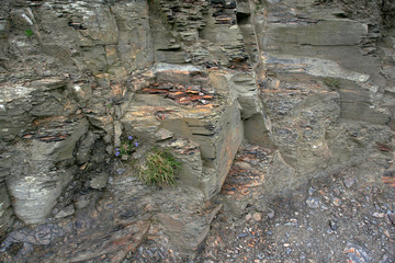 The part of shist cliff  