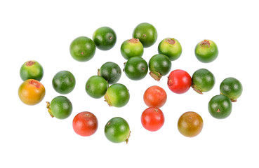 Fresh ripe and raw peppercorns isolated on white background.