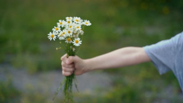 Close-up, little boy gives the daisy to the friend girl. Slow motion.