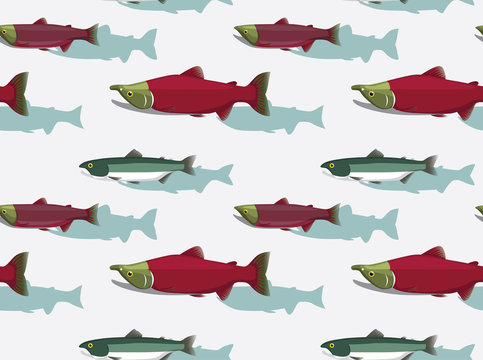 รูปภาพSockeye – เลือกดูภาพถ่ายสต็อก เวกเตอร์ และวิดีโอ13,134 | Adobe Stock