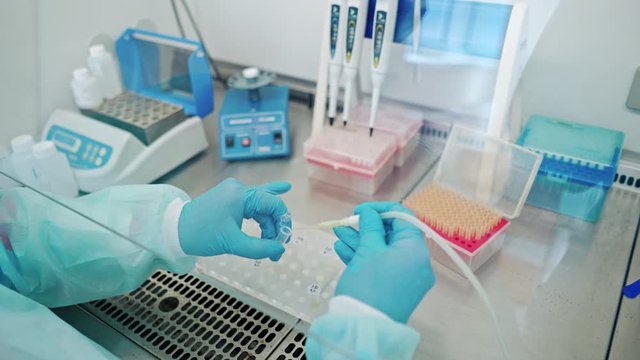 Hands in blue sterile gloves filling test tubes with liquid. Some racks with vials of liquid in modern laboratory indoors.