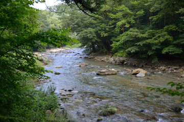 日本の渓谷