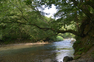日本の渓谷