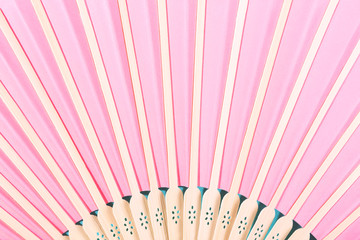 Close-up of beautiful pink fan on turquoise background.