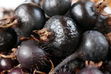 Black rosehip berries close-up background. Useful medicinal plant. Vitamin C. 