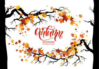 Obraz premium leaves and branches frame