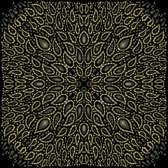 Paisley Style Elements : Set 