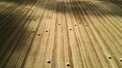 hay bale field from above