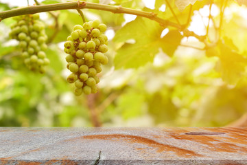 Empty wooden table top on blur of grape garden background. For your product display or design key visual layout
