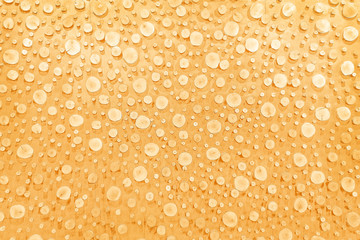 Round wood stumps decorative on wall light bright brown background , texture  big and small seamless patterns of tree cut section natural group