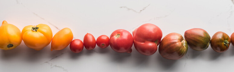 panoramic shot of colorful tomatoes on marble surface