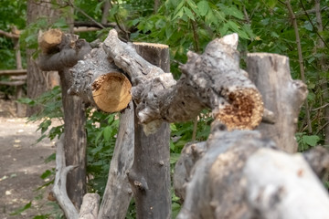 fencing in the Park made of dry trees