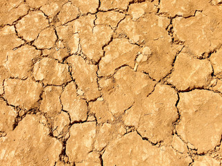 Closeup dry ground and cracked soil  texture background.