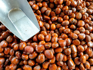 Closeup Japanese roasted chestnuts and metal scoop with natural light background.