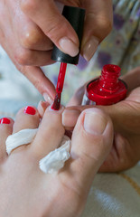 pedicure process macro closeup. pedicure process and spa procedure macro closeup. Concept body...