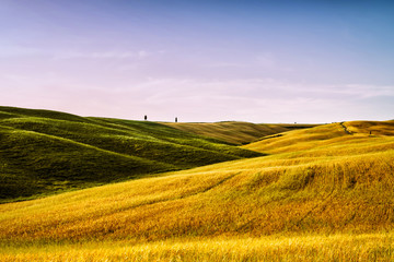 Fototapeta premium Tuscany, Italy. Tuscan hills during harvest period. Unique landscape with rolling hills. Travel. Beautiful destination. Vacation trip.