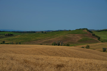 Obraz premium Beautiful and miraculous colors of green and golden autumn landscape of Tuscany, Italy. Golden wheat fields, green meadows and hills. Harvest season. Holiday, traveling concept.