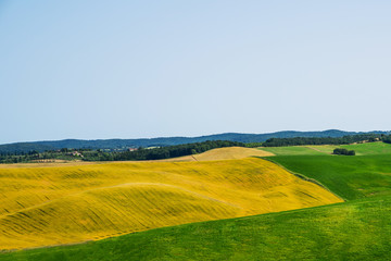 Obraz premium Tuscany, Italy. Tuscan hills during harvest period. Unique landscape with rolling hills. Travel. Beautiful destination. Vacation trip.