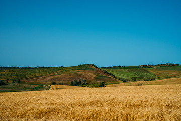 Fototapeta na wymiar Beautiful and miraculous colors of green and golden autumn landscape of Tuscany, Italy. Golden wheat fields, green meadows and hills. Harvest season. Holiday, traveling concept.