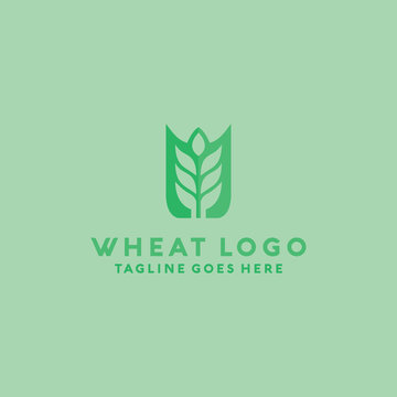 Wheat Logo Vector Logo Design Template. Organic and Natural Icon. Plant And Leaf Symbol.