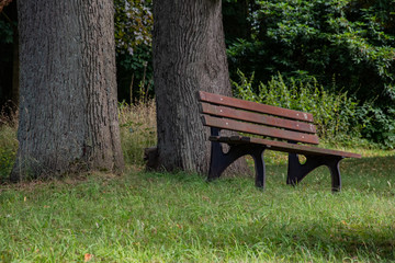 Die Bank am Waldrand