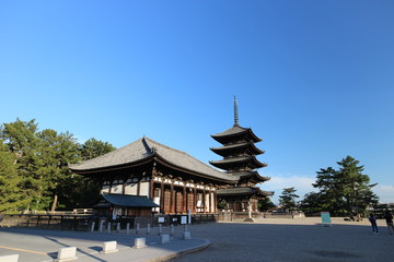 興福寺　五重塔
