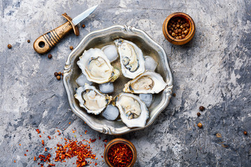 Opened oysters on metal plate