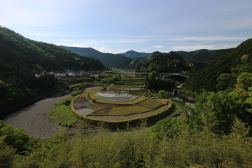 和歌山　あらぎ島
