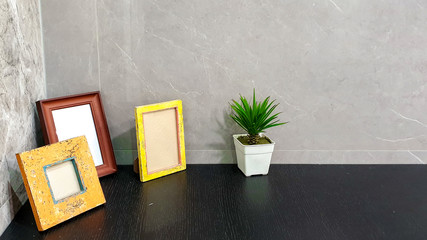 Ornamental plants in ceramic vases with vintage photo frames put on black marble shelf and front of gray mortar wall background with space for texts.