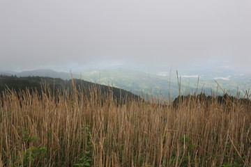 和歌山　生石高原