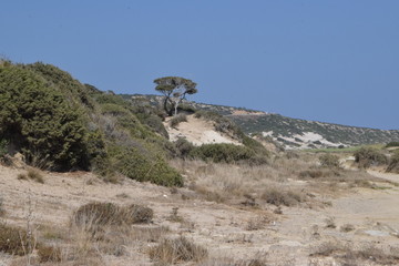 Cyprus Golden Beach, Wild Sea Side