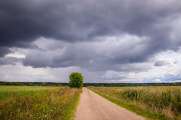 Fototapeta na wymiar Summer field landscape. Russian open spaces. Before the storm. Dark rainy sky. Background Russian field before the rain.