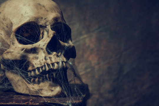 The skull lies on an old book. Photo taken in vintage style.