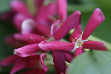 Obraz premium parque de malaga