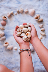 close up of a girl hands holding her shell collection