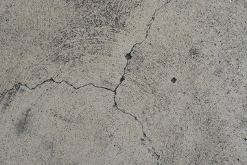  Crack on a concrete surface in Los Angeles for interior design.