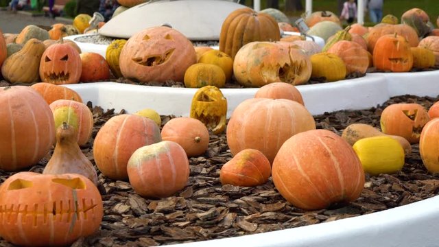 halloween pumpkins with carved faces displayed as decoration in city park
