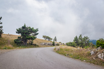 Mountain asphalt road. Mount Ai-Petri in Crimea. Climb up. Russian roads. . Road to Ai-Petri