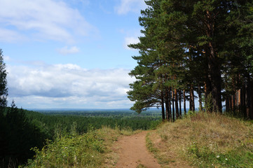 Siberian landscape with trees and blue sky