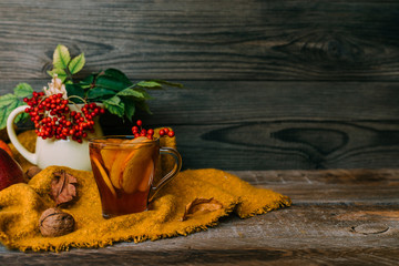 Fall harvest cornucopia. Cup of hot apple tea for fresh start of the day. Autumn season warm drink. Copy space on wood background.