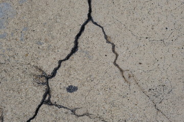 Obraz premium Crack on a concrete surface in Los Angeles for interior design.