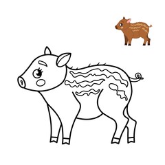 Coloring book for children. Forest animals. Cute cartoon little boar.