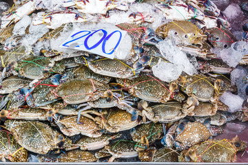 Crabs for sale