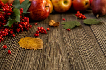 Autumn background with seasonal autumn nature berries, apples and colorful leaves on the wooden background. Autumn concept.