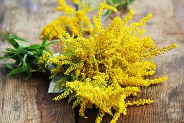 Bunch of yellow Solidago Goldenmosa or Goldenrod on wooden background