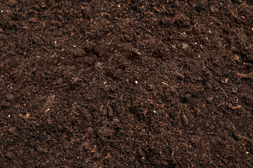 Fototapeta na wymiar Fresh soil for gardening as background, closeup