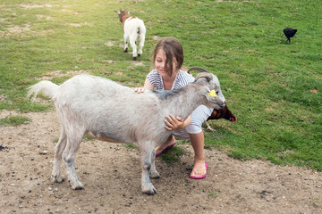 beautiful girl on holiday at the farm donating to goats