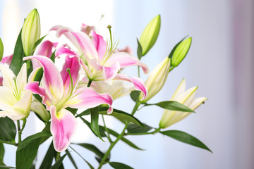 Fototapeta na wymiar Bouquet of beautiful lilies on blurred background, closeup. Space for text