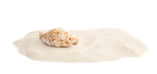 Pile of beach sand with sea shell on white background